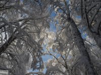 2017-12-29 V. del Morretano 060